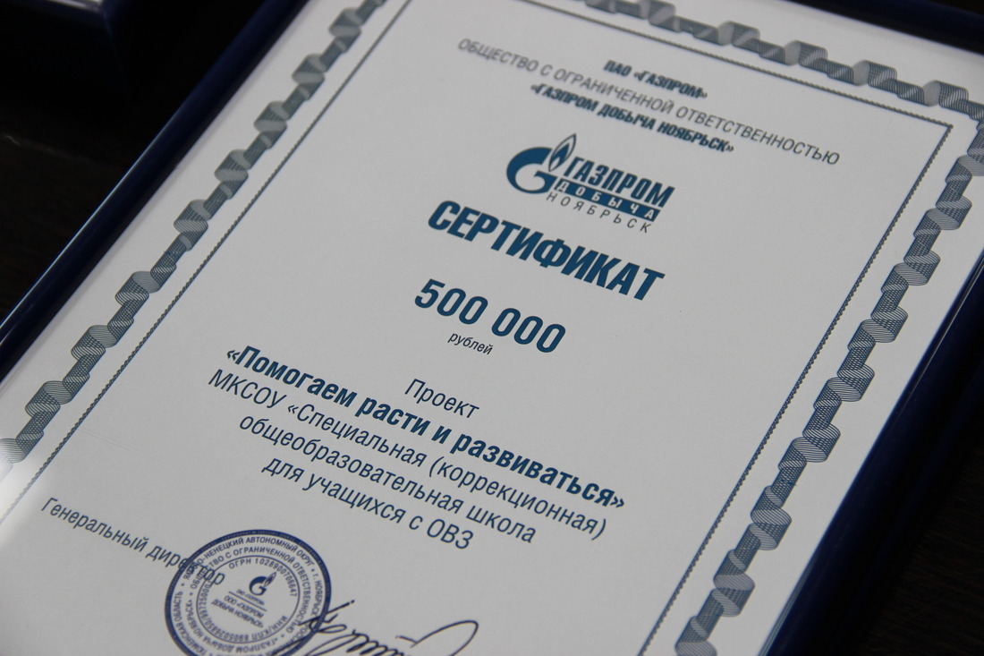 Размер грантовой поддержки на реализацию каждой из социальных инициатив составляет 500 тыс. рублей