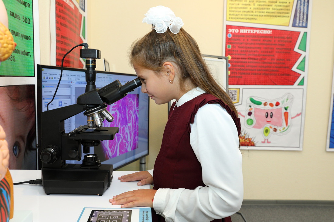 Ученица 3 "Г" средней школы № 7 г. Губкинского знакомится с интерактивными экспонатами музея