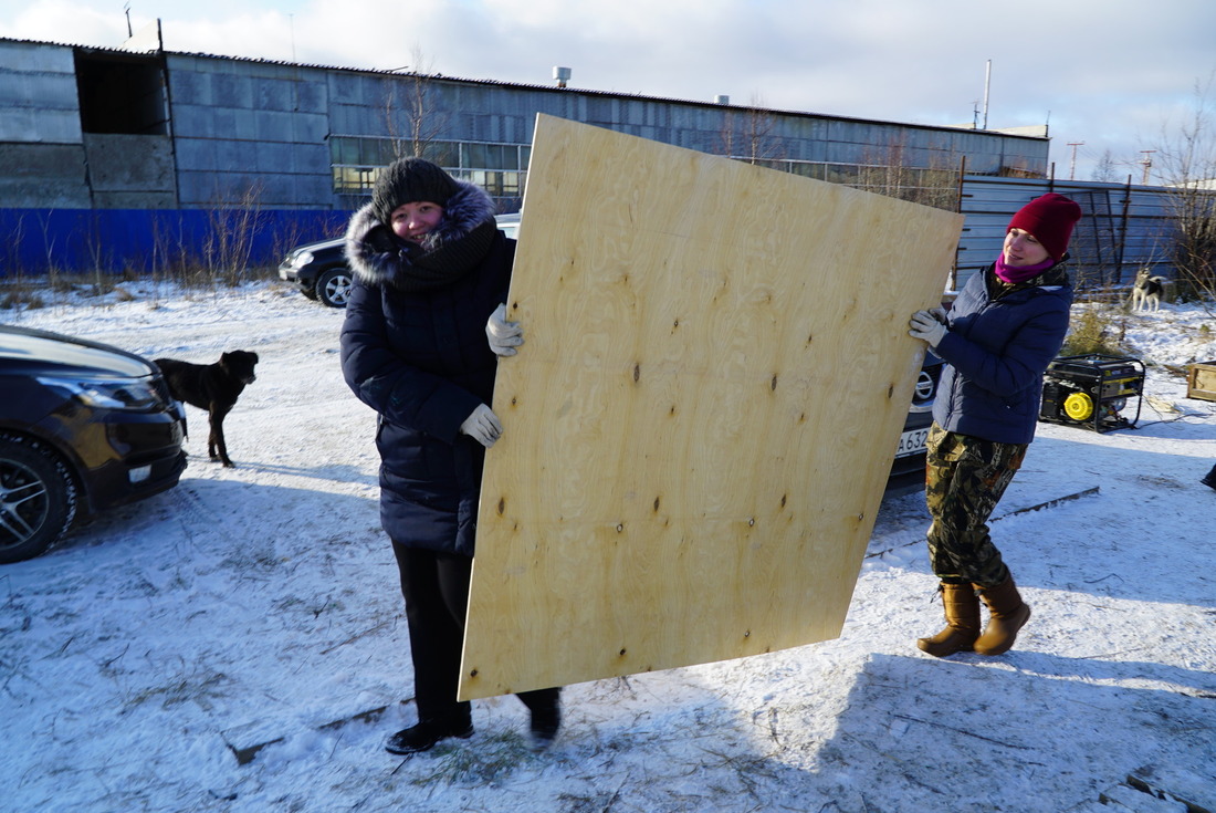 Волонтеры привезли фанеру и опилки, чтобы собаки не замерзли в холода