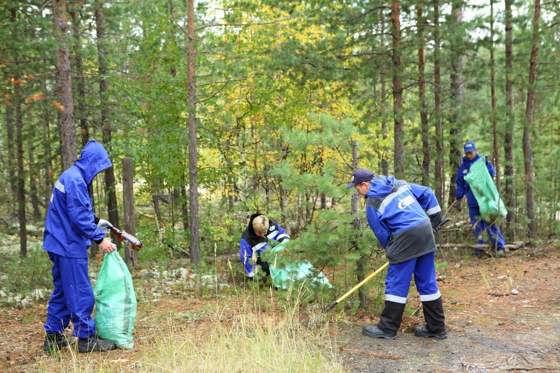 Больше всего мусора — в лесном массиве